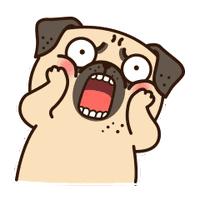 家里有幽门螺旋杆菌全家都会有吗,幽门螺旋杆菌全家都要一起治疗吗