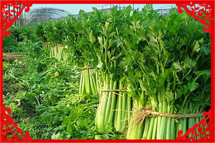 农村做什么生意最赚钱又简单见效,农村最适合干什么生意赚钱投资小