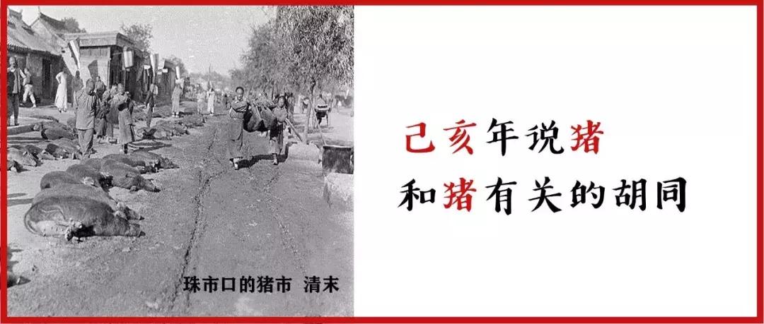 名说北京第二十二期|己亥年来看跟猪有关的胡同