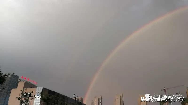 下雨了水来了,下雨了下雨了下雨了歌词试听