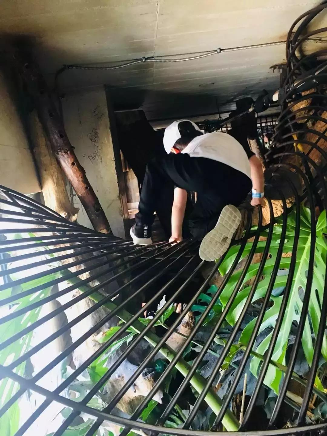 芝加哥周边自驾游,芝加哥郊外攻略