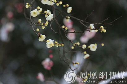 济群法师的事件,佛家讲贪嗔痴三毒难以摆脱