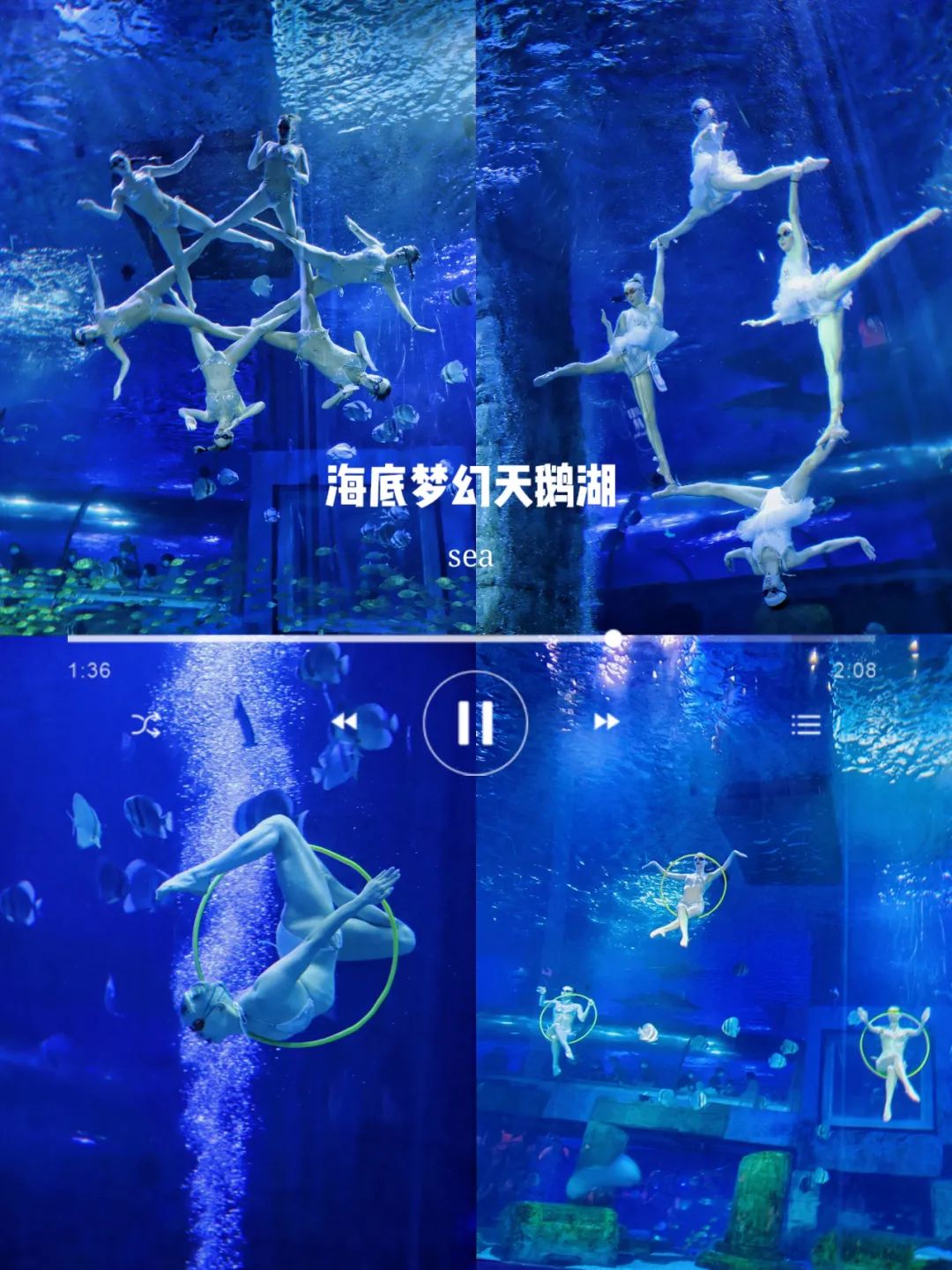 开启非凡住宿万豪旅享家,万豪旅享家邂逅城市五星级酒店