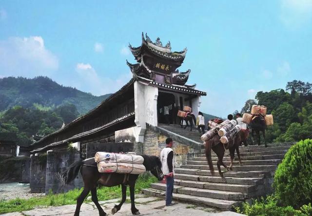 顺子的故事,顺子的故事全集