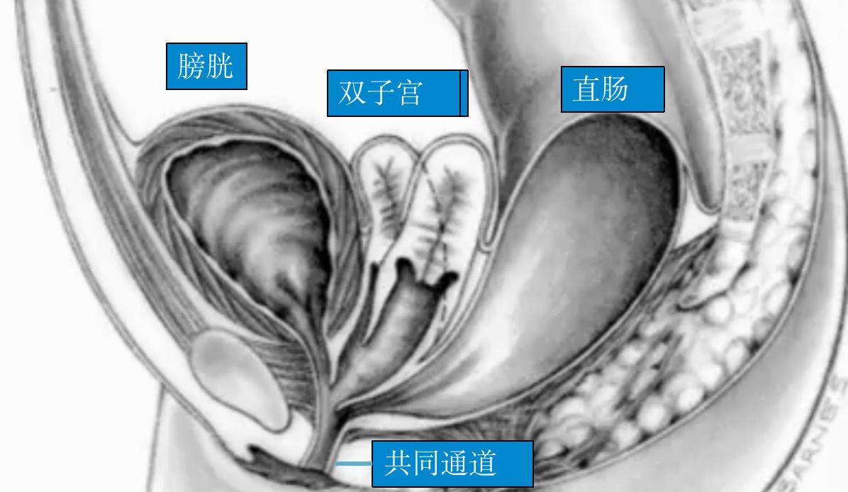 四名医生接力手术12小时,12名顶级专家联手挽救重症患者