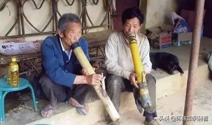 越南的奇闻奇事,越南趣闻