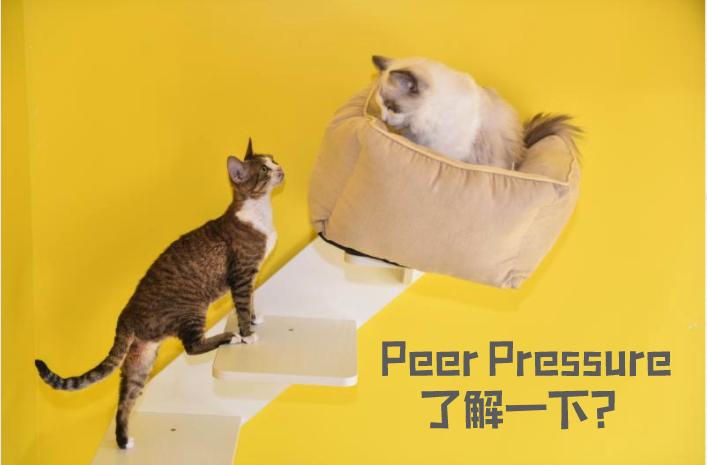 跑步可以减少白发吗,减少白发的食疗方法