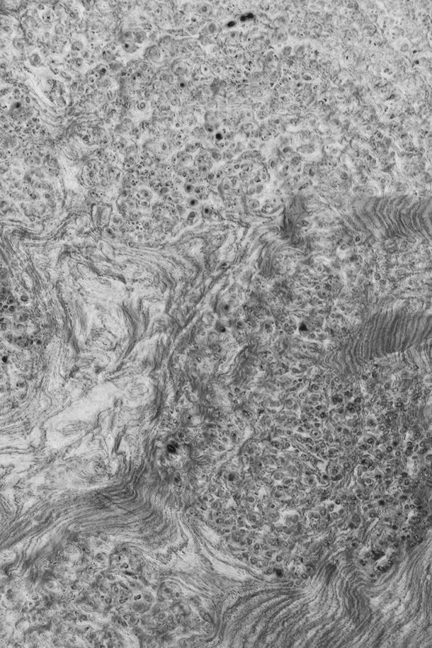 虚实相生,葡萄满架|初探影木坊