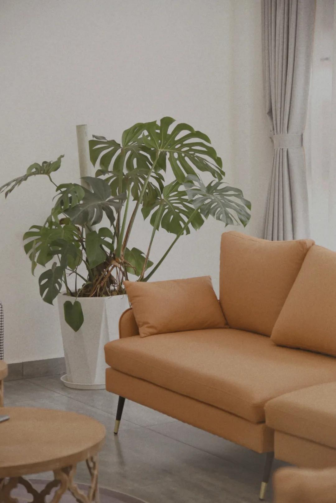 崇州温泉独栋民宿,崇州云来小院