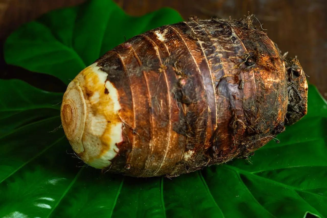 广西十大特产鱼,广西旅游排行榜前十