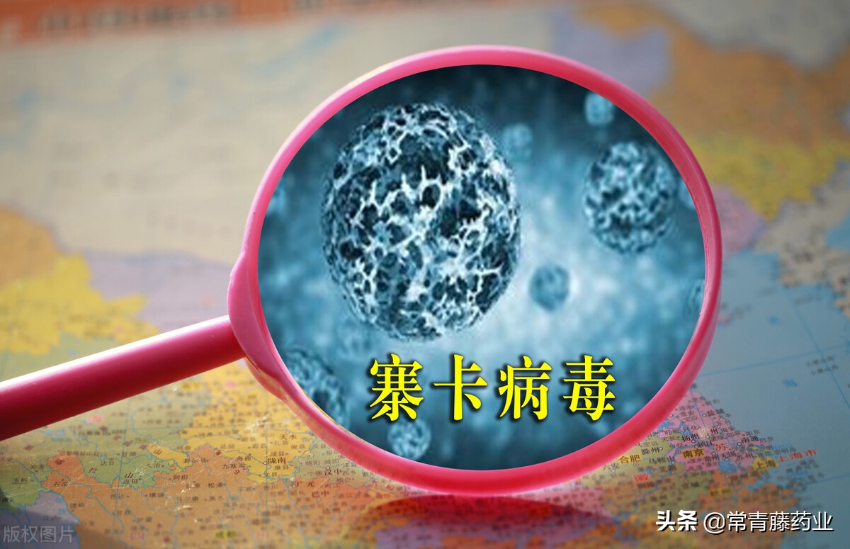 慢性丙肝用吉三代治疗需多长时间,治疗丙肝的吉三代怎么服用