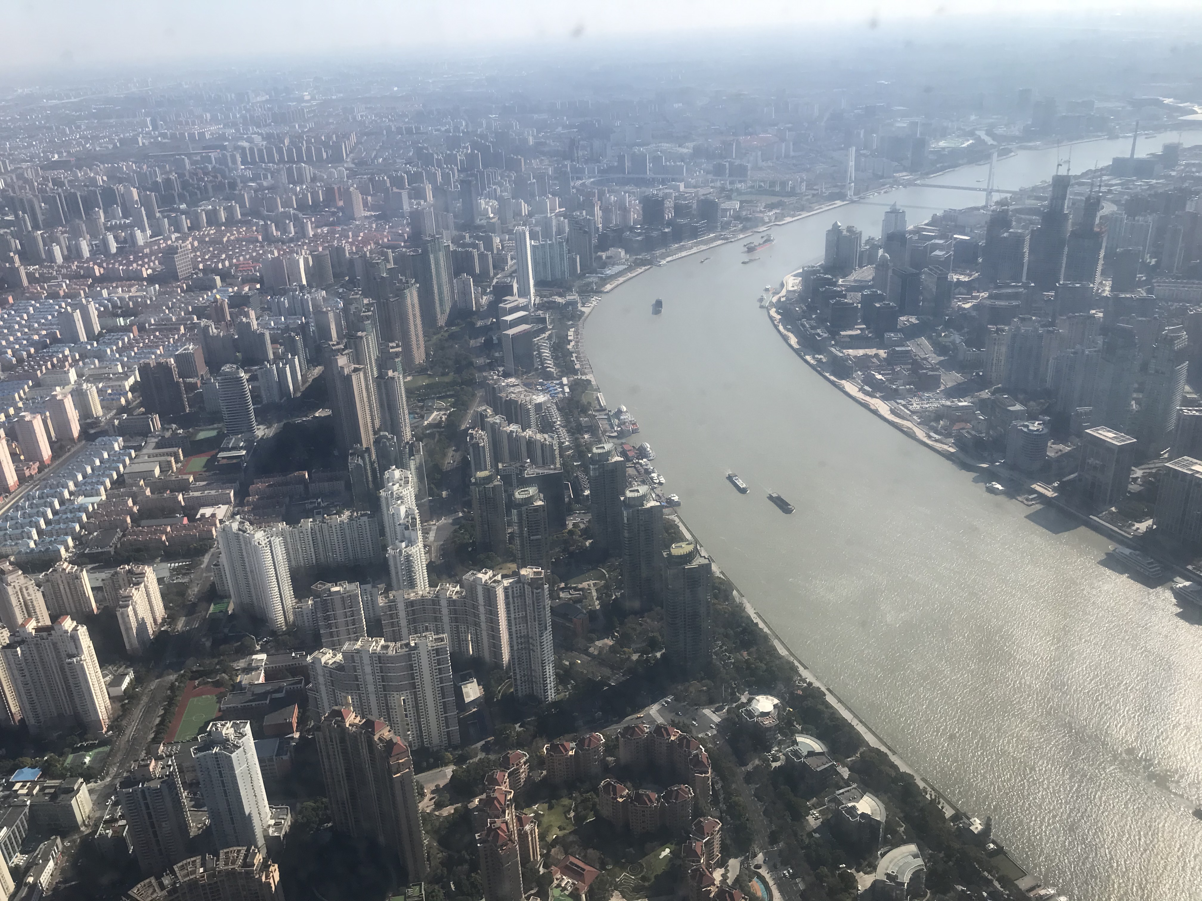 上海的春天视频,上海的春天美景