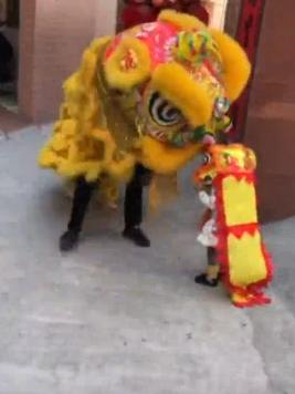 大河早新闻丨有湖有岛，新贾鲁河来了，五一逐步开放入园；洛阳女大学生私信网友“遗书”后服下60片*眠药安**