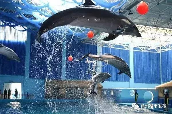 徐州苏宁悦城开盘价,徐州苏宁悦城三期全部开盘