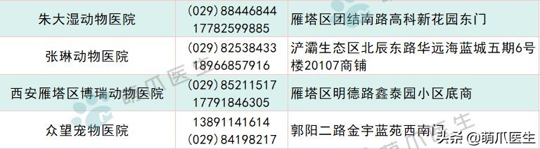 宠物医院必看,不坑的宠物医院推荐