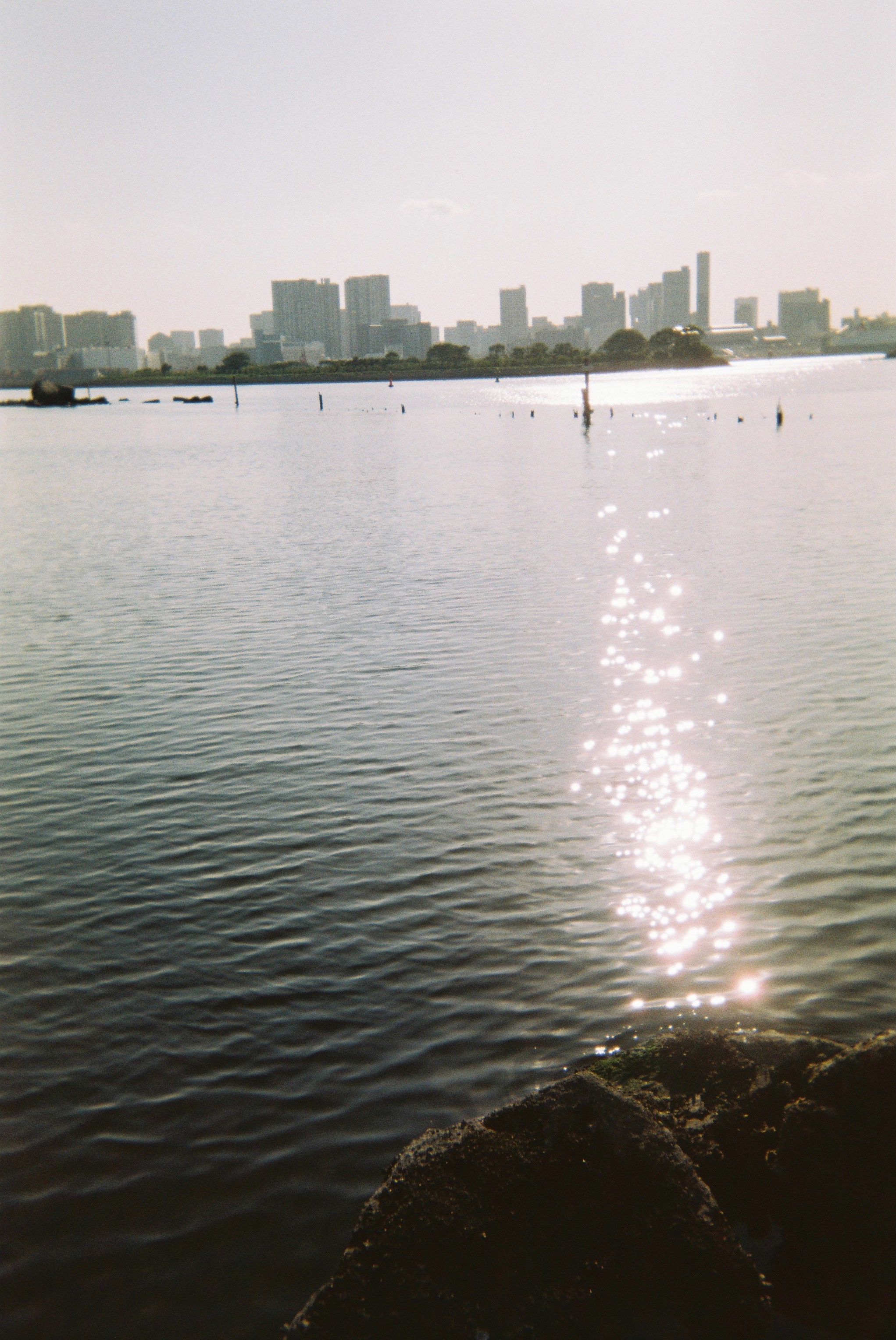 富士一次性胶片机可以再装胶片吗,富士一次性防水胶片机教程