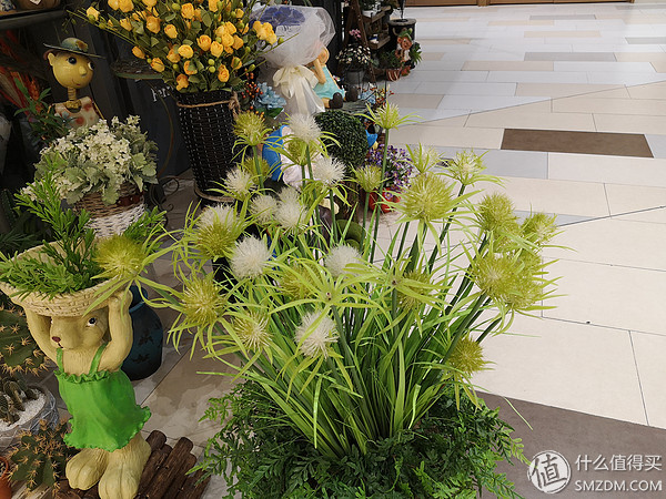 p20徕卡镜头,p20徕卡相机