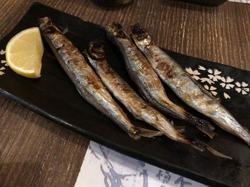 刺身鱼片种类,刺身的鱼片有哪些