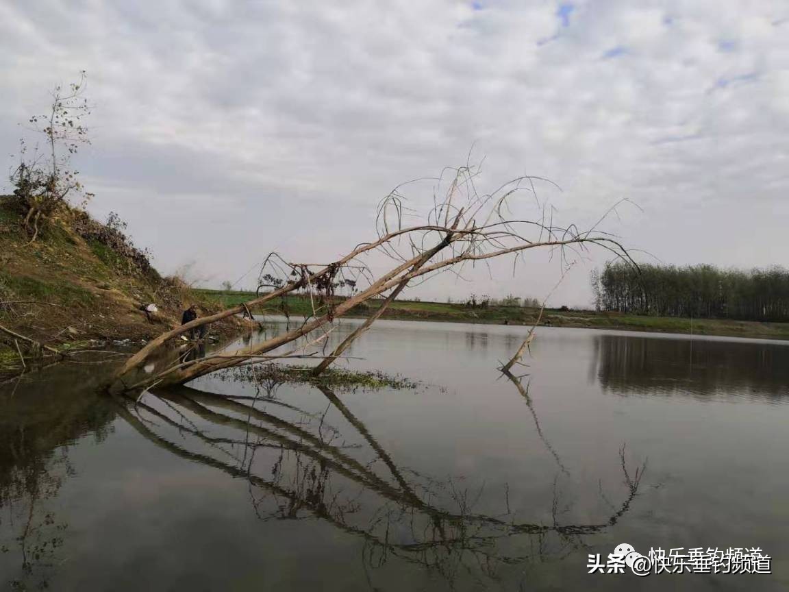 野钓搓饵挂钩注意事项,野钓怎么避免挂钩