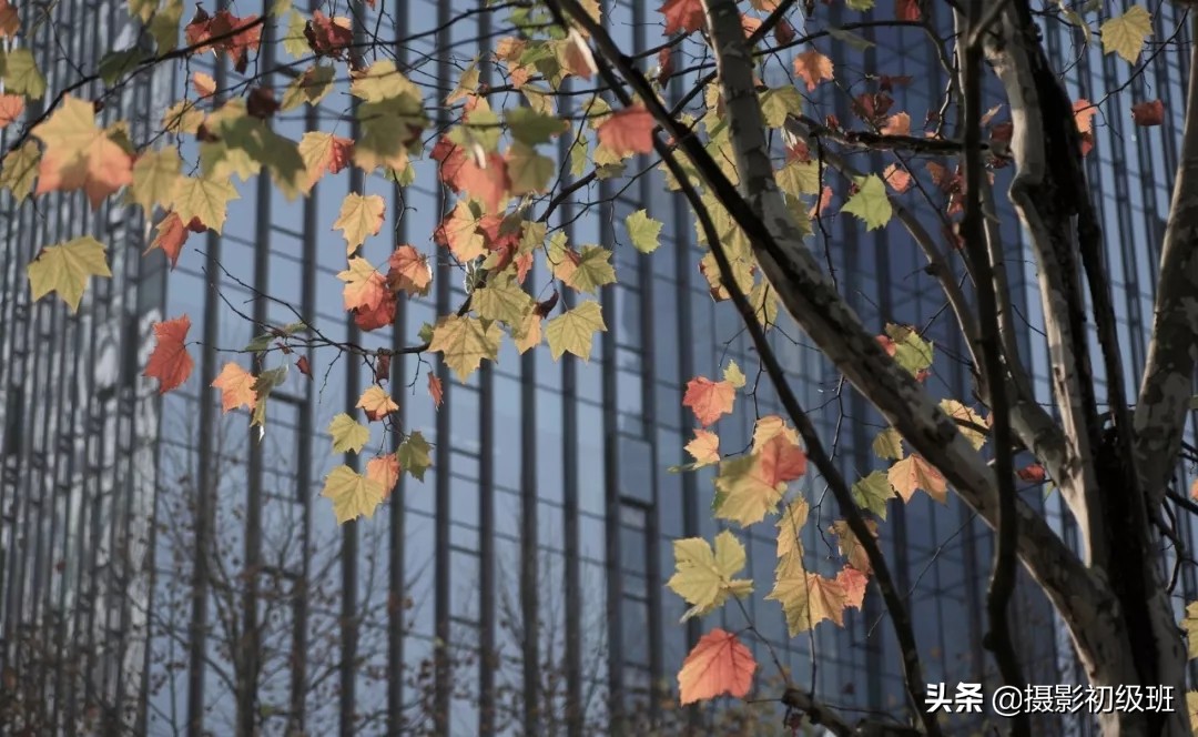 相机常规设置学摄影的你要知道,摄影相机基础推荐