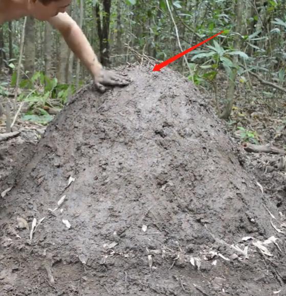 原始木炭烧制原理,古法烧制木炭的关键技术要点