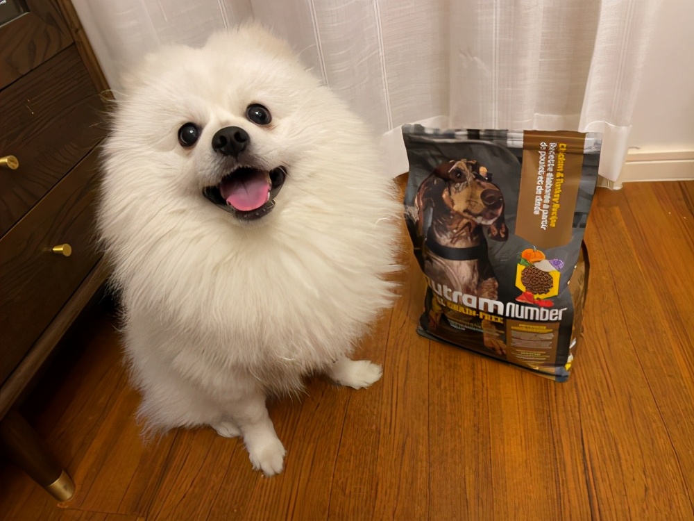 大颗粒博美专用狗粮,纽顿狗粮幼犬博美