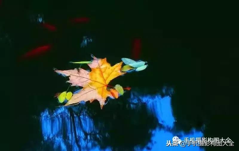 手机摄影怎么拍出好看的景色,手机如何拍出低调的摄影照片