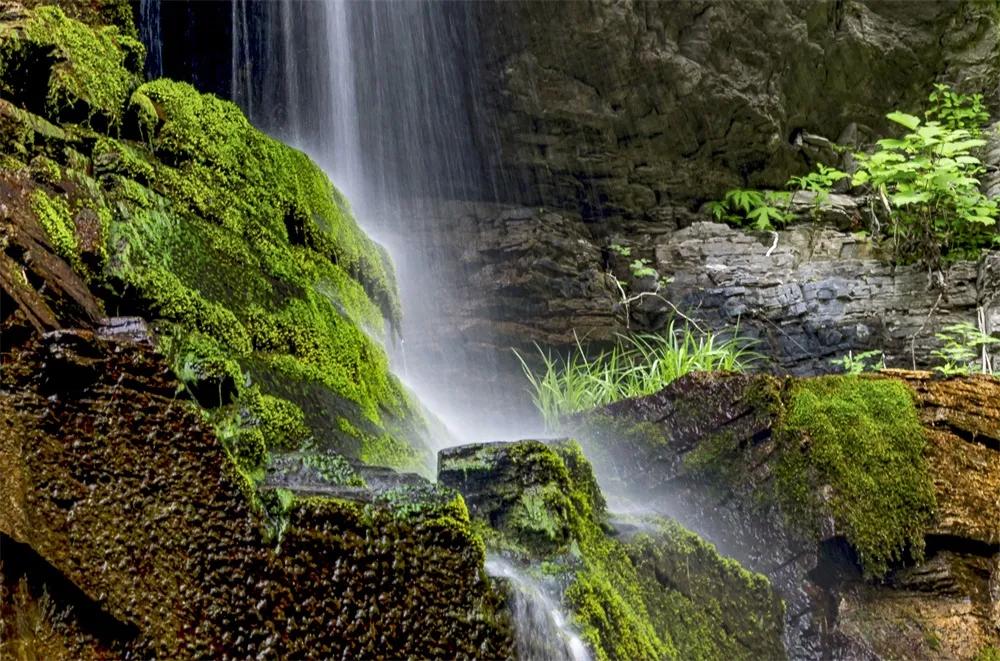 灏忎節瀵ㄥ弻榫欏场,浜タ灏忎節瀵ㄥ弻榫欏场