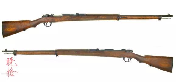 甲午战争时的中国陆军,甲午战争后日本海军购买军舰