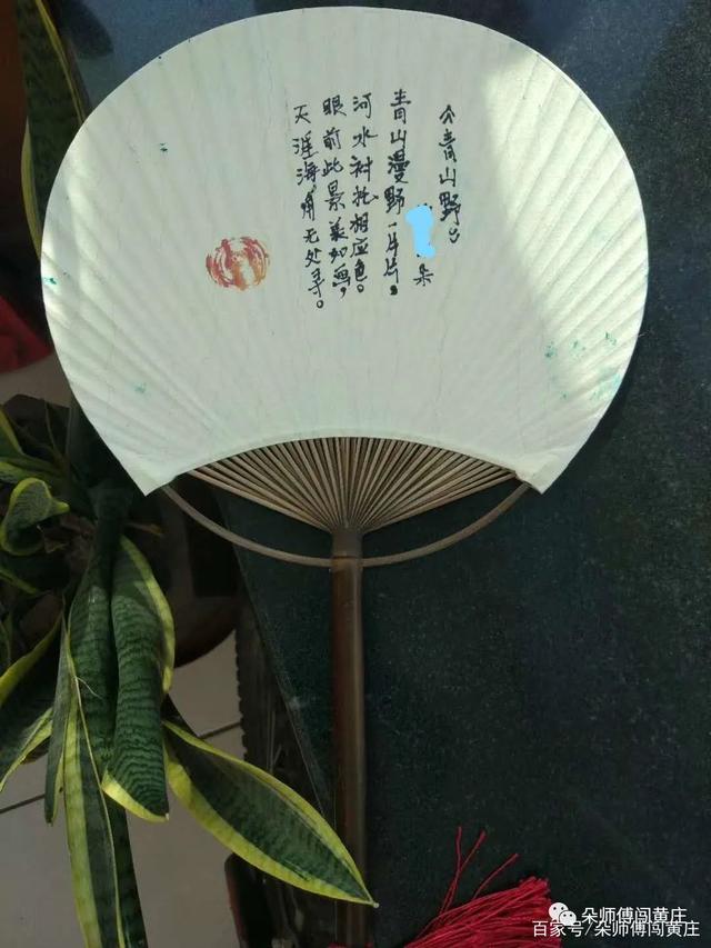 五年级妈妈回头看：大语文这门玄学到底该怎么整