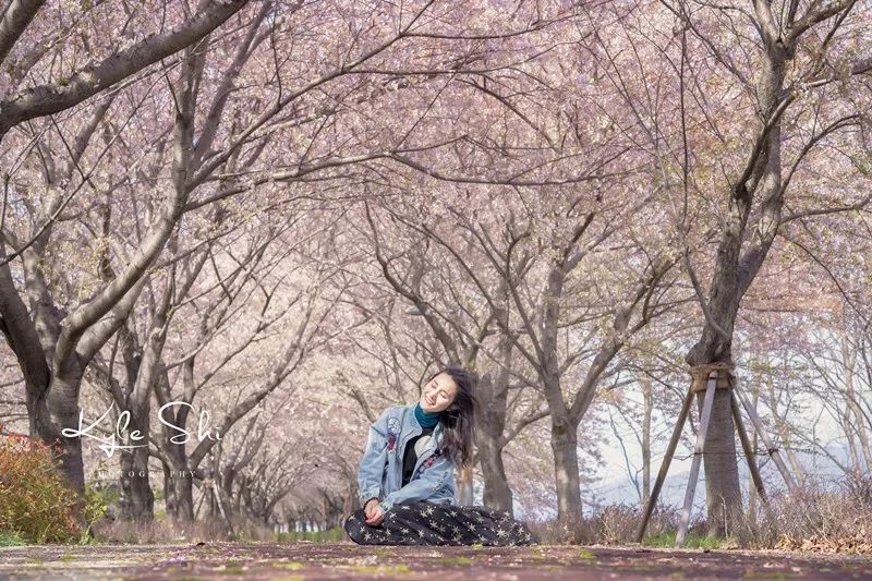 樱花季去日本价格高吗,樱花季去日本旅行