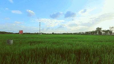 李子柒令人向往的世外桃源生活,李子柒记录的简单淳朴的田园生活