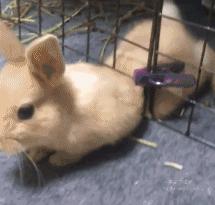 年轻人压力大失眠吃什么药,年轻人压力大失眠怎么解决