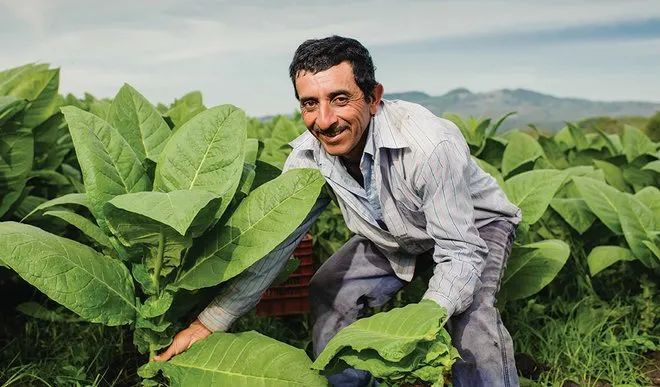 拒绝美国“运河霸权”这个南美小国靠咖啡、雪茄、朗姆酒发家致富