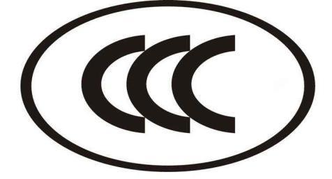 国际头盔认证标准,世界顶级头盔认证标准