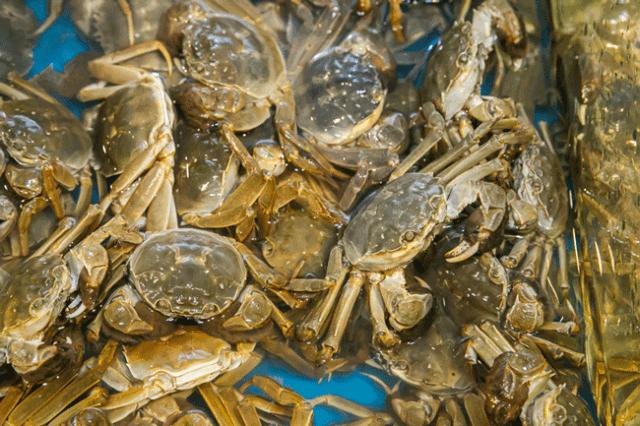 老板疯了18元自助火锅,老板疯了吃火锅继续八折优惠