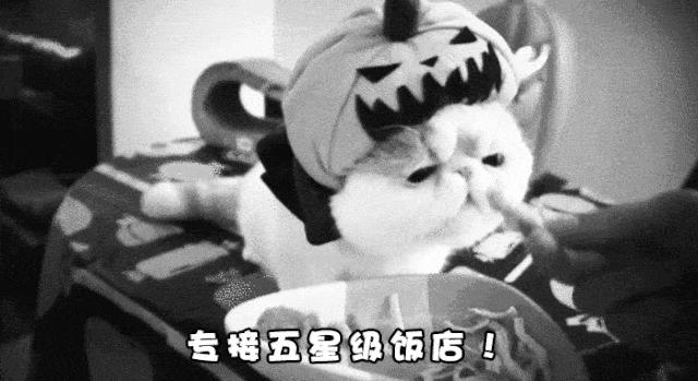 最近涨幅大火爆的齐白石邮票,2022年涨幅大火爆的邮票