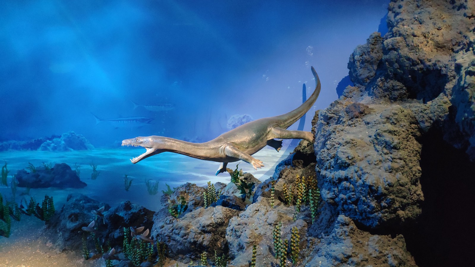 海洋博物馆带孩子游玩攻略,国家海洋博物馆最全攻略来了