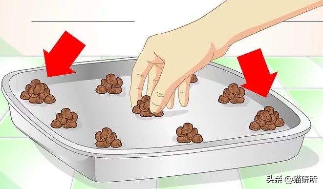 怎样让猫咪优雅的吃猫条,怎么才能让猫咪合理膳食