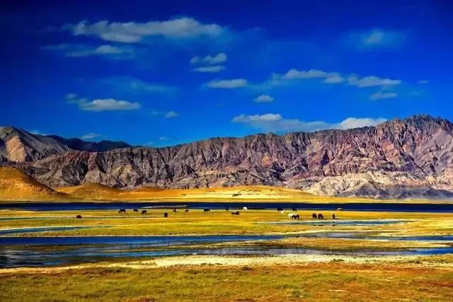 下半年旅行最佳时间表,2023最佳旅游时间表