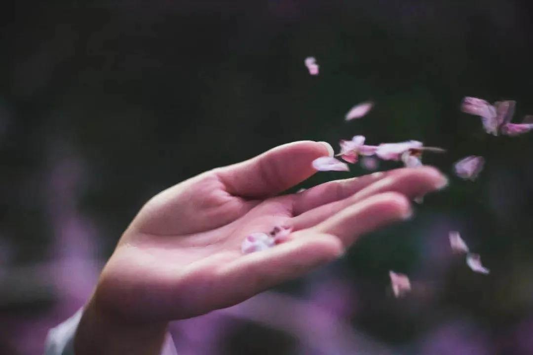 夫妻间的心理效应,夫妻之间的心理作用有哪些