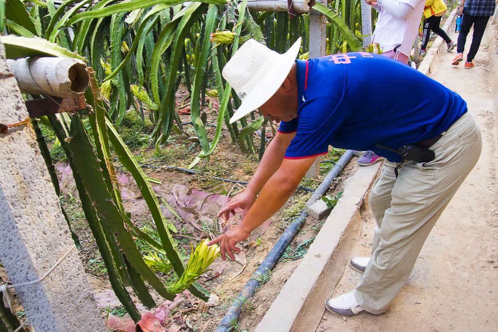 #毕业旅行啦#石家庄慧灯庄园，夏日里寓教于乐爽歪歪