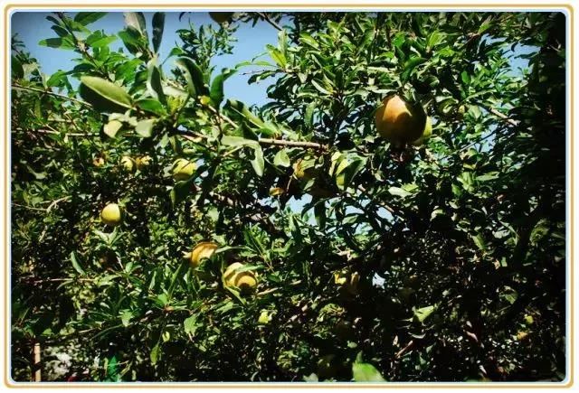 国庆节国内旅游景点全攻略,国庆七天哪里玩最好