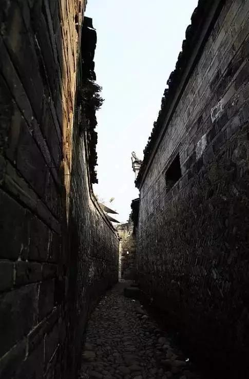 这个村庄一千年前建了个生态下水道，至今旱涝不惧