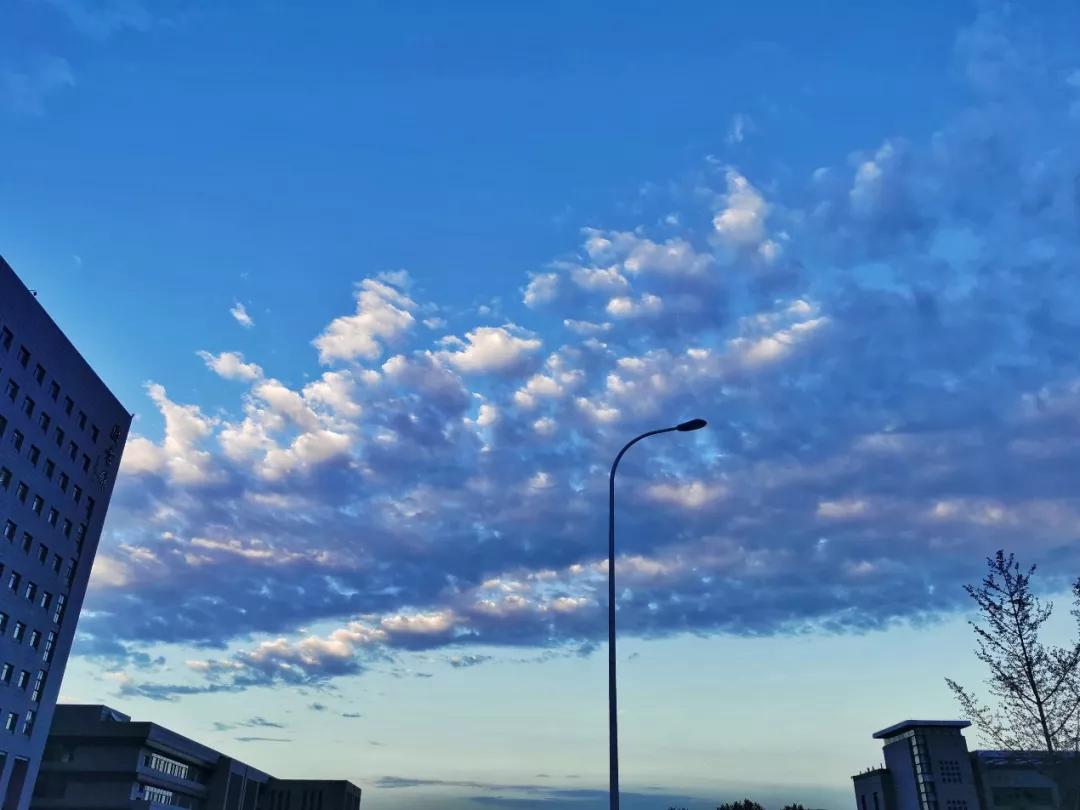 天津公办3+2本科学校有哪些,天津市专升本天津师范大学