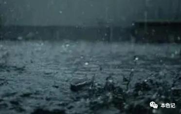 浴室里的小苍蝇,厕所里的苍蝇