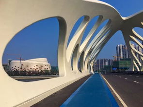 美丽的神话贝斯,美丽的神话完整钢琴