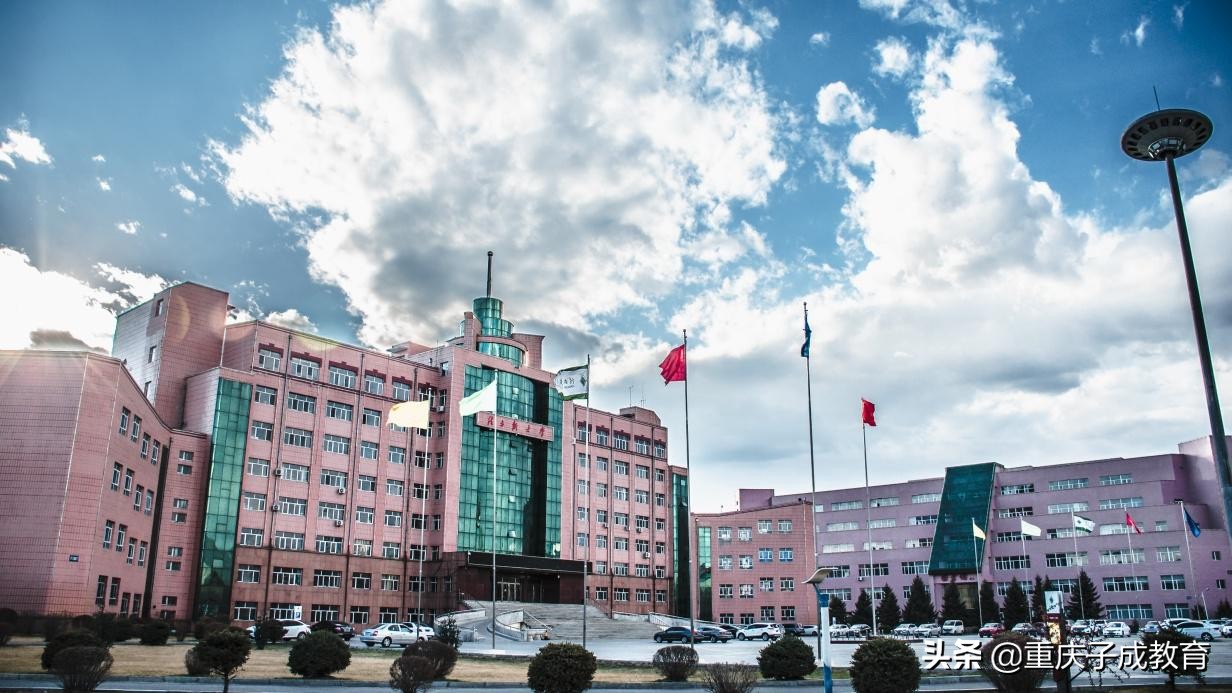 中国最具特色的二十所高校,中国高校前二十名大学