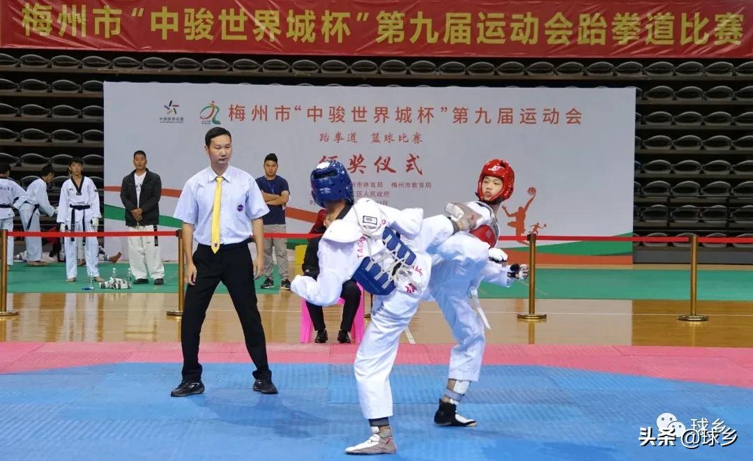 亚运冠军跆拳道,市运会跆拳道第一名