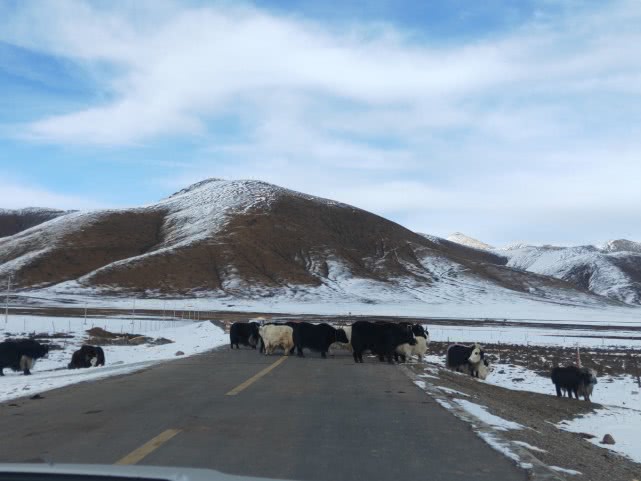 青海湖最美公路在哪,青海湖附近小众秘境